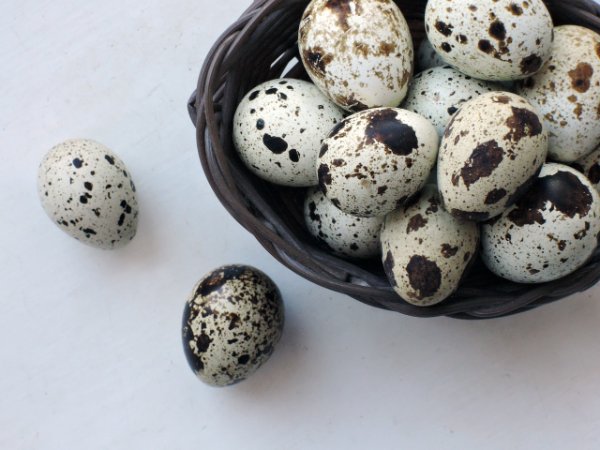 huevos de codorniz proteínas de calidad