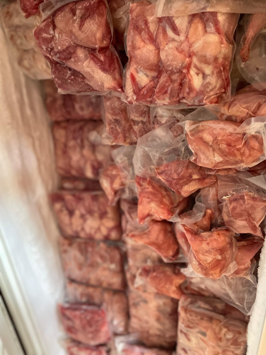 Carne de codorniz en congelador sellada al vacio