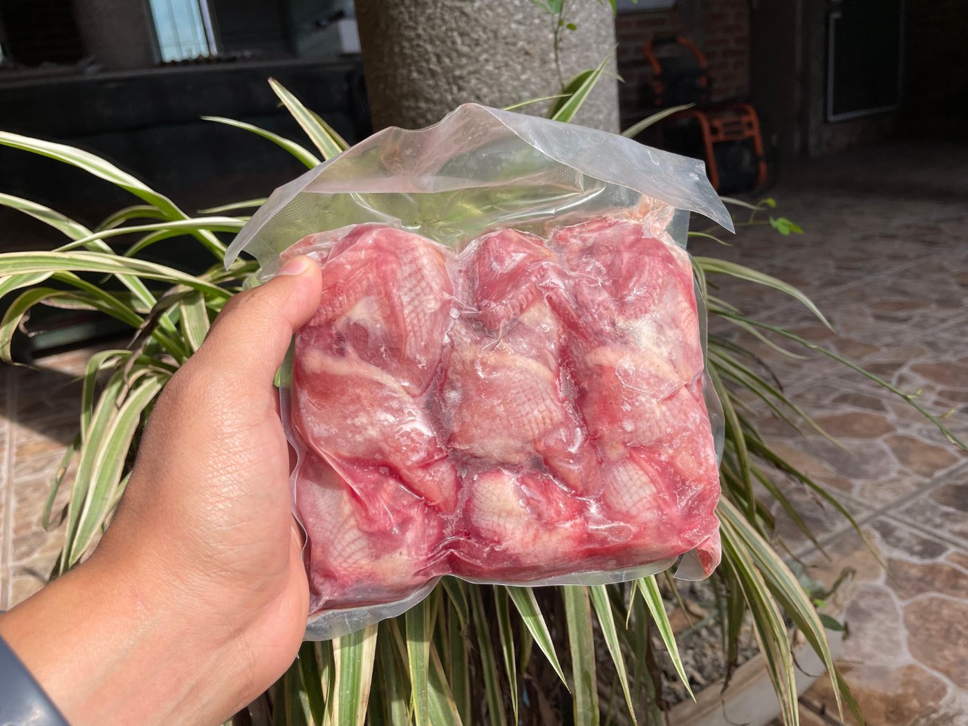 Carne de codorniz de alta calidad para distribución