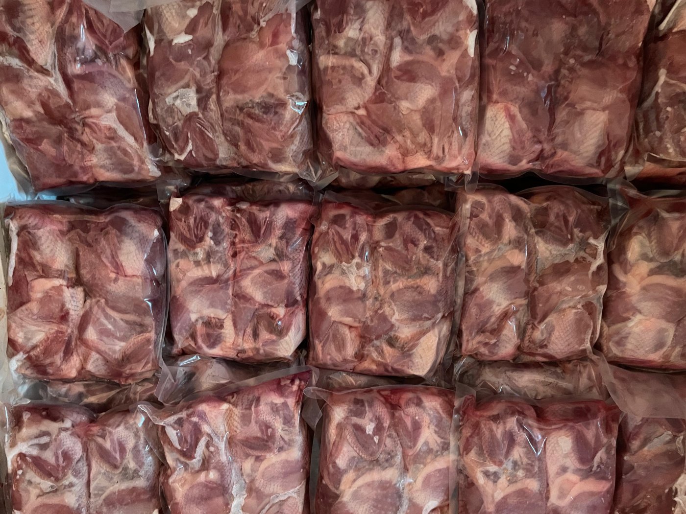 Carne de codorniz fresca para distribuir